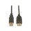 TrippLite 10ft USB AA 2.0 Gold Extension Cable